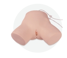 Female Catheter Insertion Training Model