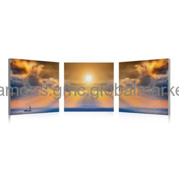 Decorative Pictures Printed Triptych Art