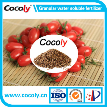 100% water soluble cocoly fertilizer SGS ISO