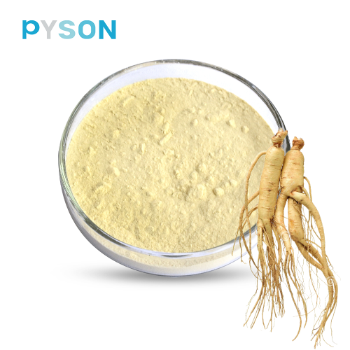 Ginseng Leaf & Stem extract HPLC 30%