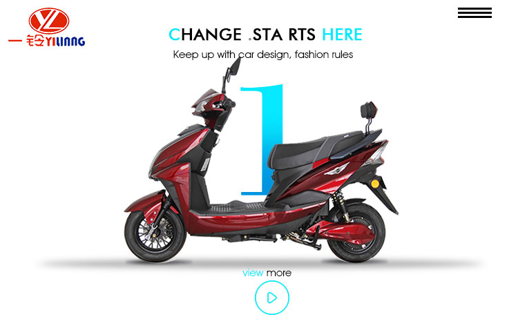 Adult Electric Motorbike Electric Motorcycle in Electric Scooters with New Design