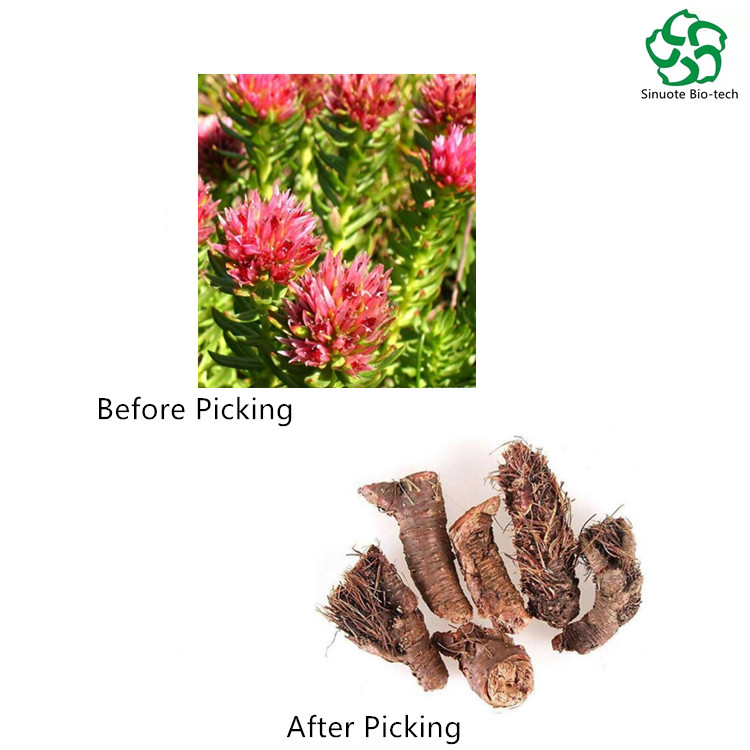 Rhodiola Rosea Rhodiola Rosea