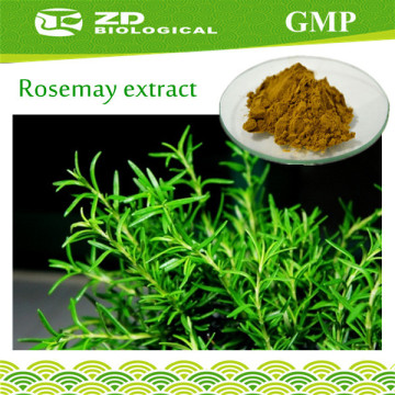 rosemary leaf extract ( rosmarinus officinalis )