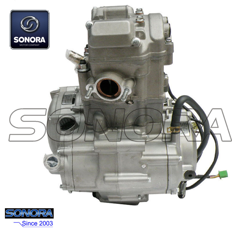 Zongshen NC250 Engine Complete Set(1)