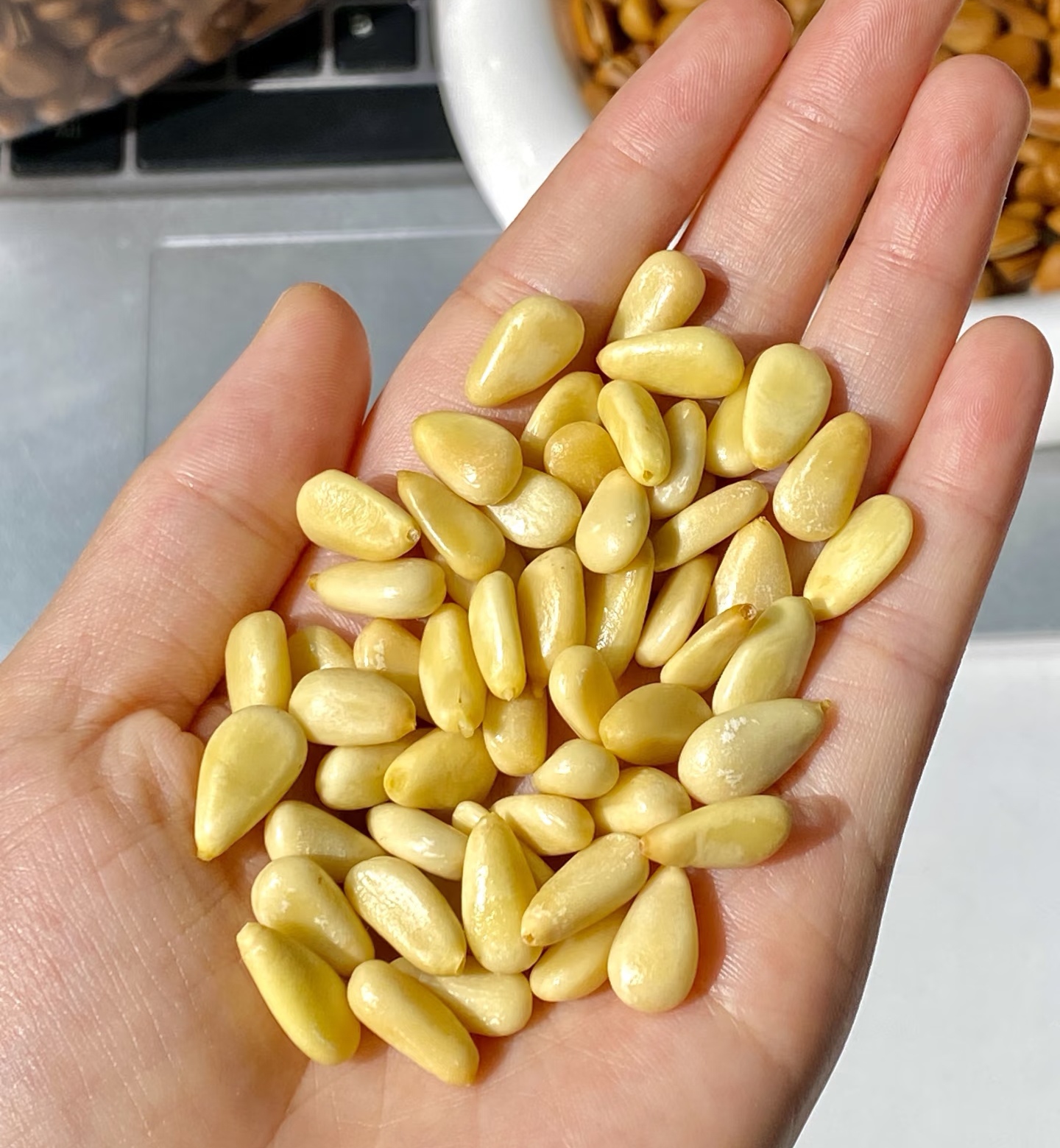 Pine Nuts Pine Nuts