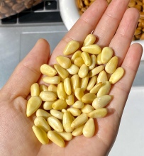 Delicious 500g Pine Nut