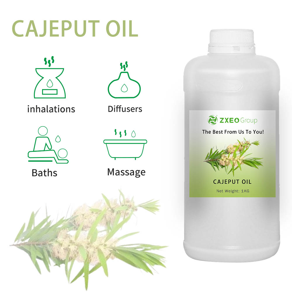 Cajeput Essential Oil | Melaleuca Leucadendron Cajuputi Oil - Minyak Esensial Murni dan Alami - Harga Massal Grosir