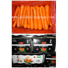 2016 frische frische Karotten (S-Klasse und M-Klasse)