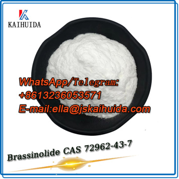 Plant Growth Regulator Brassinolide CAS 72962-43-7