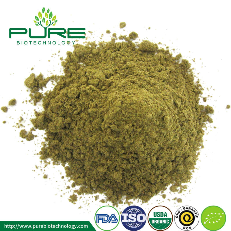 Polvere di proteine di semi di canapa naturale al 100% 100% Natural Hemp Seed Protein Powder