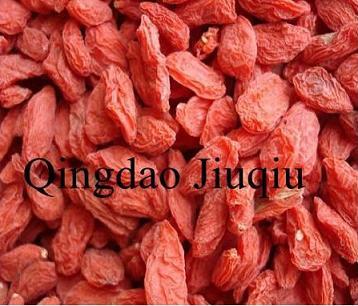 Goji Berries Good for Health Medicinal Value Goji