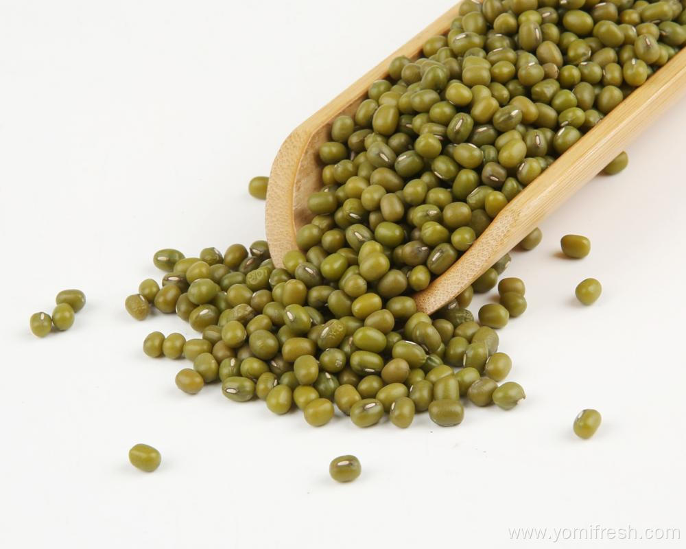 Mung Bean 100G