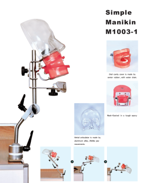 Advanced Dental Phantom Head Manikin with Replacement Teeth