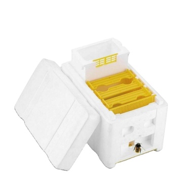 Queen Rearing Hive Bee Nuc Box - Plastic Nuc Boxes for Beekeeping