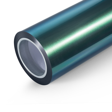 Mysterious Green Chameleon Car Wrap