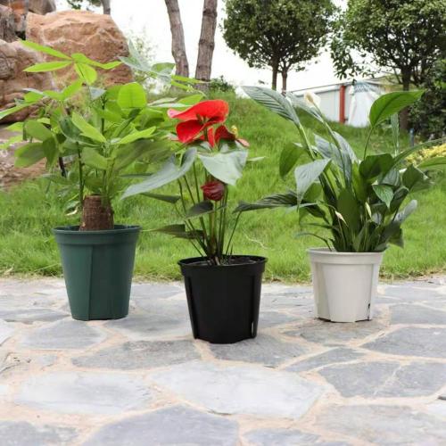 Bloem plastic tuin pot spuitgiet