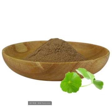 Centella Asiatica Extract Triterpenoid Glycosides Powder