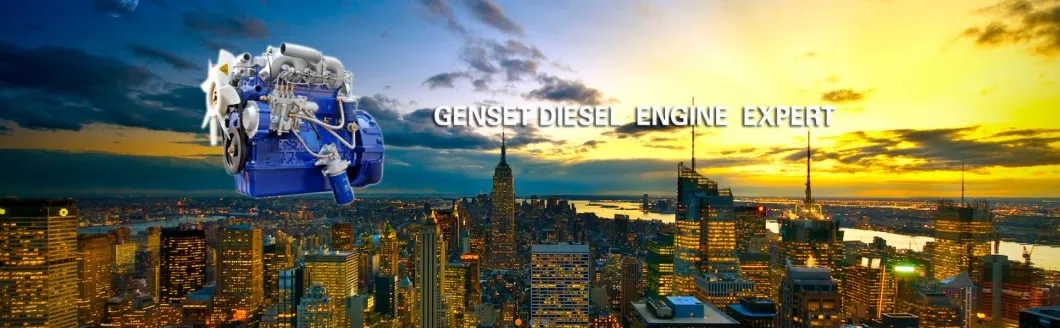 in The Promotion Diesel Engine Yangdong Yd480d 14kw Series for Genset