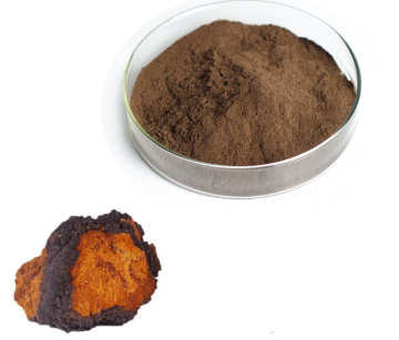 Powdered Extract Chaga 30% Polysaccharides Herb Extract