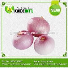 Dehydrated White Onion With High Quality