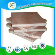 Poplar Plywood with Bintangor Face and Back