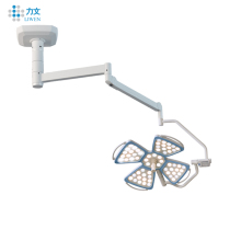 Shandong Lewin Single Dome LED Surgical Lamps
