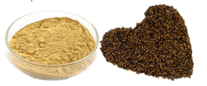 Cassia Seed Extract