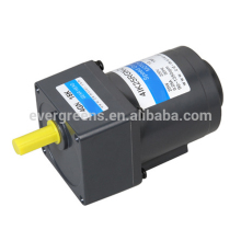 15W micro gear reducer motor