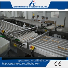 Automatic online tray loading system