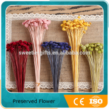 preserved flower material for flower arrangment
