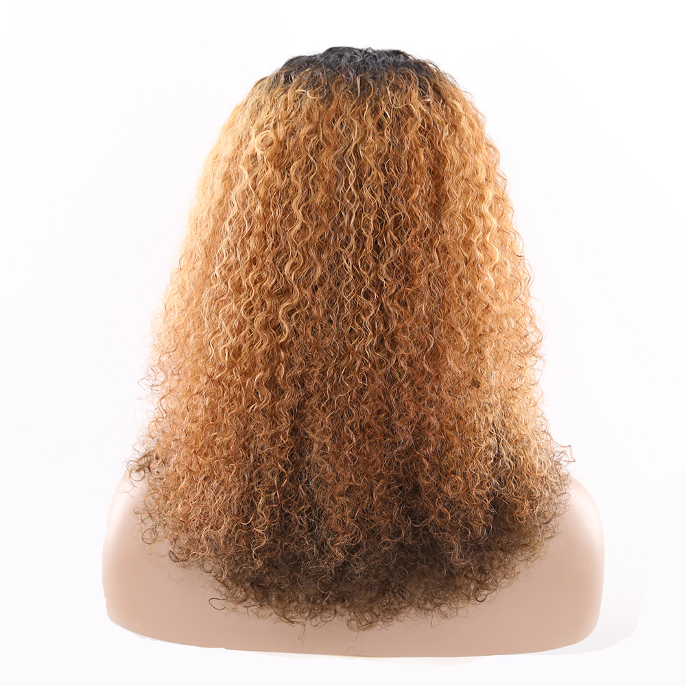 Non Lace Human Hair Wigs, Wholesale E Wigs Vendors 100% Human Hair Wigs Afro Kinky Curly Malaysian 18 Inch Remy Hair Long 130%