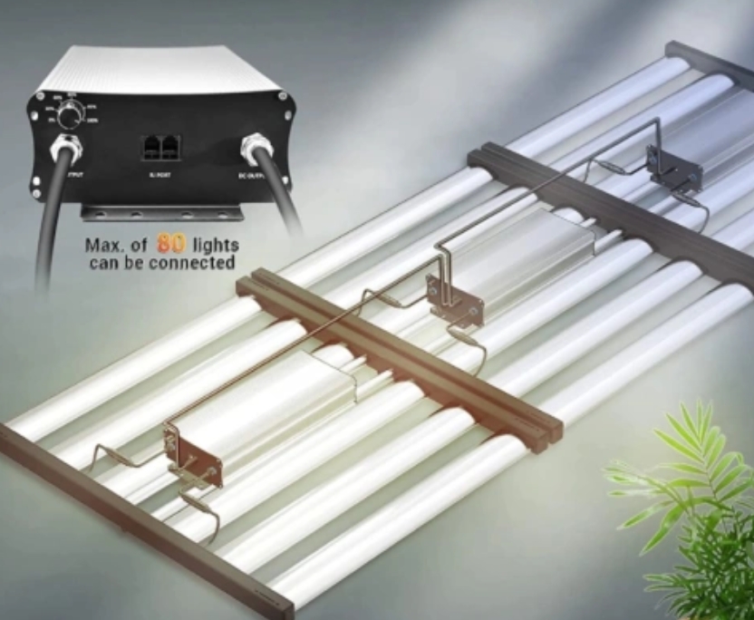 LED grow lights: green hope for ecological restoration