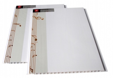 Wall Decrotive Ceiling