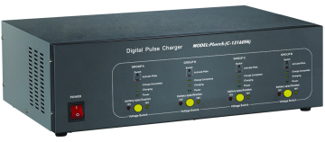 Small Capacity Digital Pulse Charger
