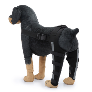 Wholesale Metal Hinged Dog Knee Braces with Reflective Seat Belts for Arthritis