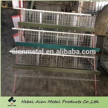 automatic poultry enquipment cages