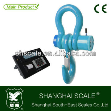 5000kg Printing Crane Scale