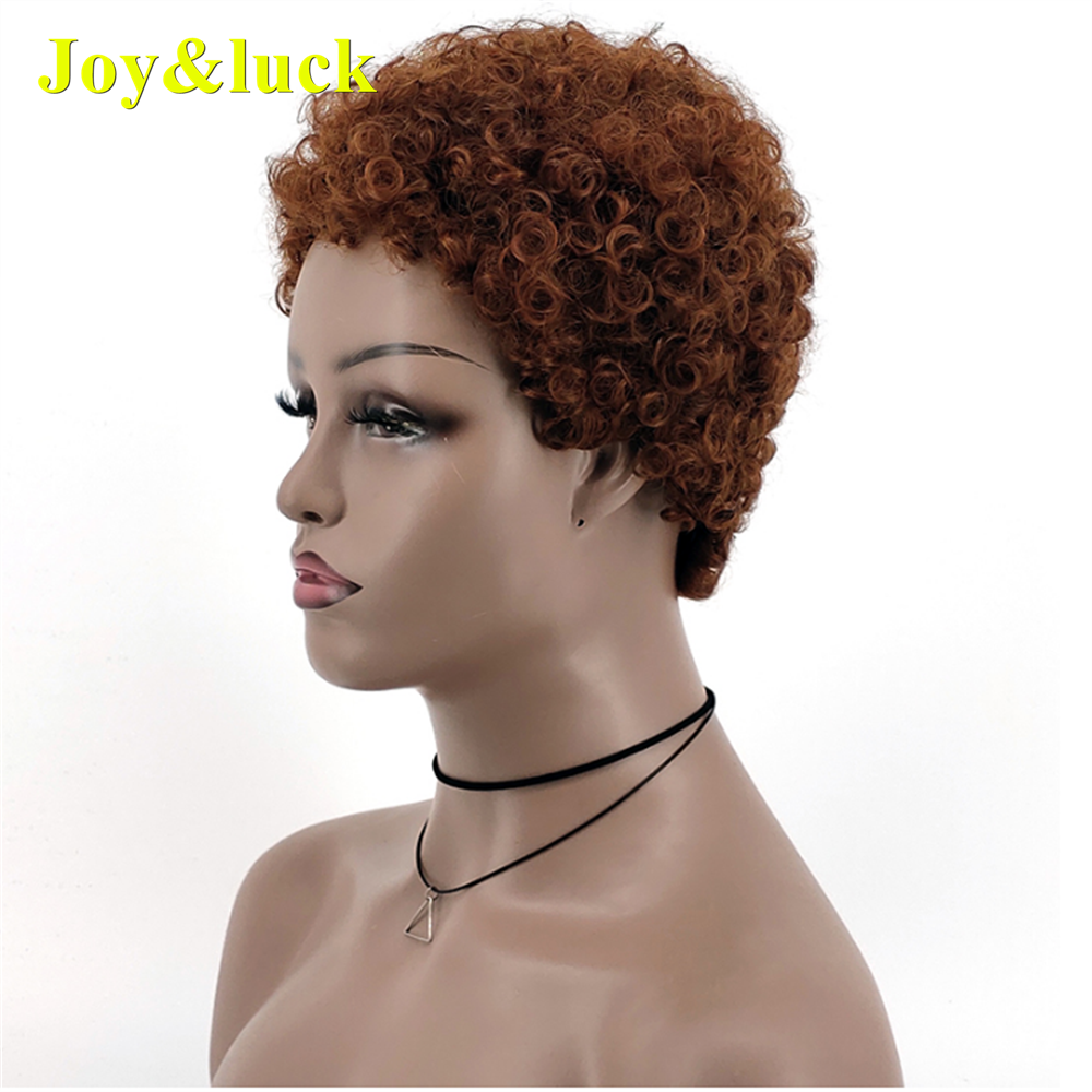 Brown Wig Wholesale Prices for Black Women Ladies Hair Party Machine Made Fluffy Wig Soft Curly Pixie Cut Short Synthetic Wigs