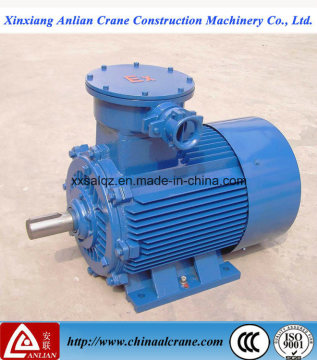 The Explosion-Proof Electric AC Three Phase Motor