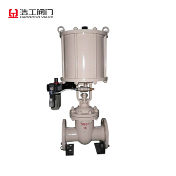 Pneumatic Quik Open Gate Valve