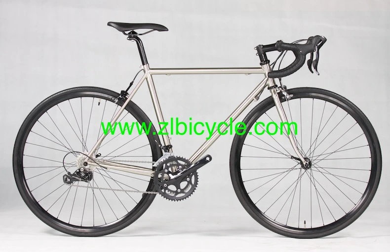 4130 Chromoly Road Bicycle