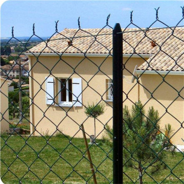 Chain Link Fence Protects and Decorates Garden