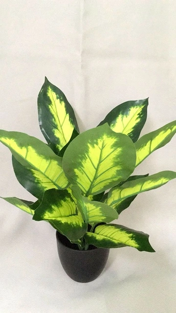 PE Dieffenbachia Potted Artificial Plant for Home Decoration (50470)