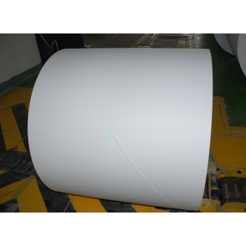 White Offset Paper in Reels