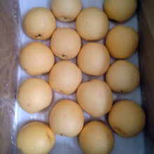 Pear Fresh Fruits Deliciousness