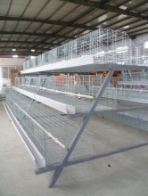 Broiler Chicken Cage (JF-BRO-A023)