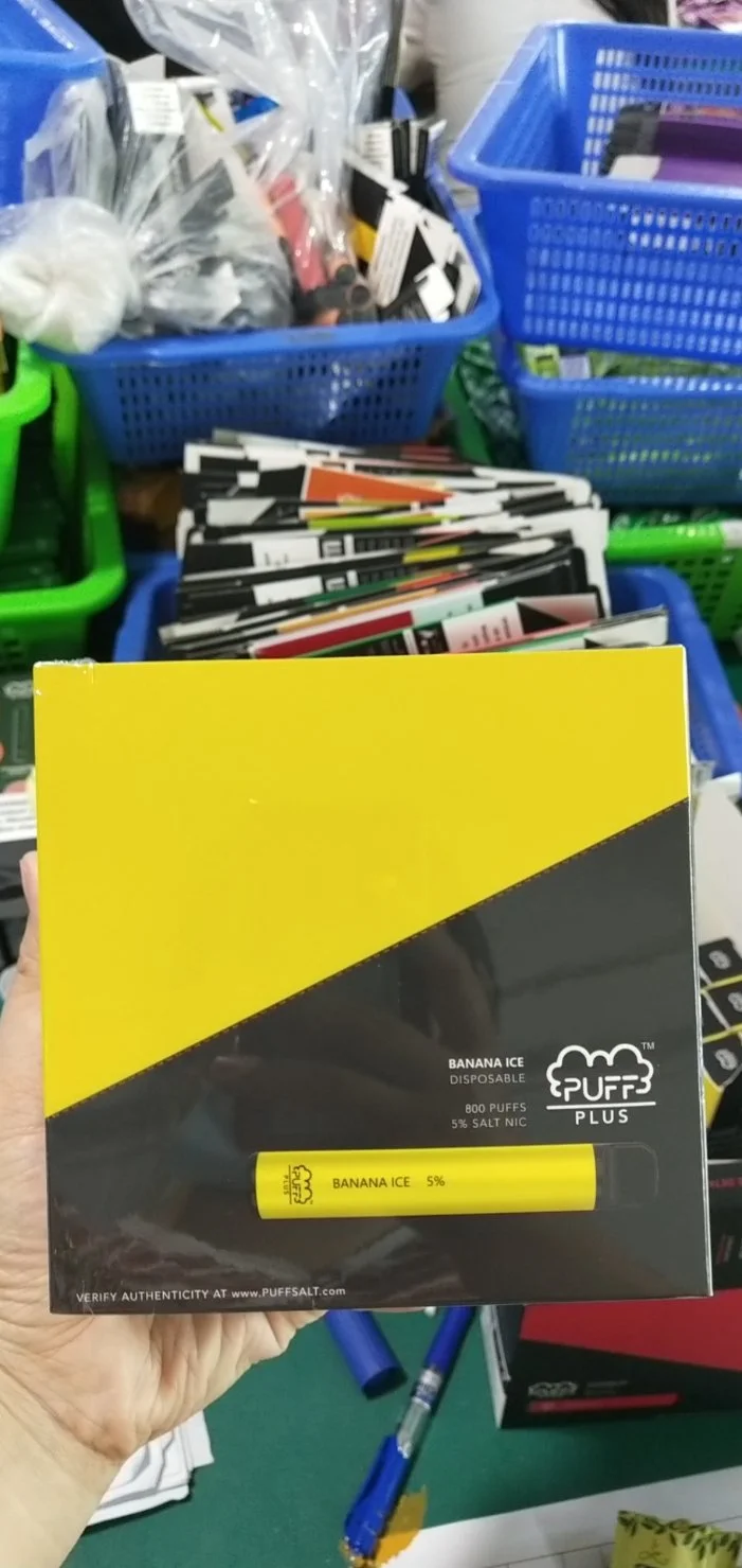 2021 Newest More Than 60 Flavors 800puffs Puff Plus Disposable Vape