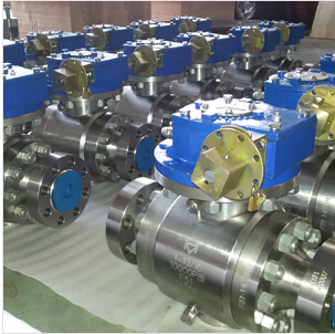 DSS A182 F51 Ball Valve