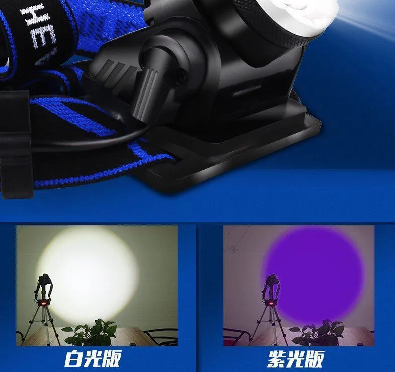 Rechargeable UV Headlamp with 395nm LED for Night Fishing and Scorpion Hunting