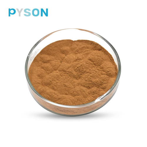 Extrait d&#39;Astragale (Polysaccharides 70% UV)